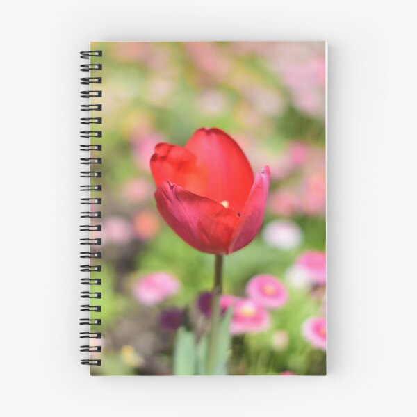 Item preview, Tulip designed and sold by J-Rad99.