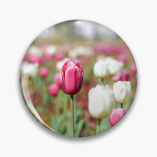 Item preview, Field of Tulips designed and sold by J-Rad99.