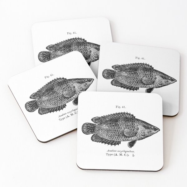 Item preview, Ctenopoma weeksii. designed and sold by Francespoppy.