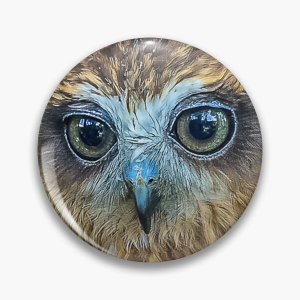 Item preview, Hypnotic Eyes of a Boobook Owl designed and sold by Dalyndigital Photography.