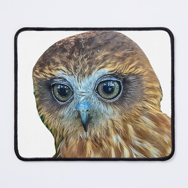 Item preview, Hypnotic Eyes of a Boobook Owl designed and sold by Dalyndigital Photography.