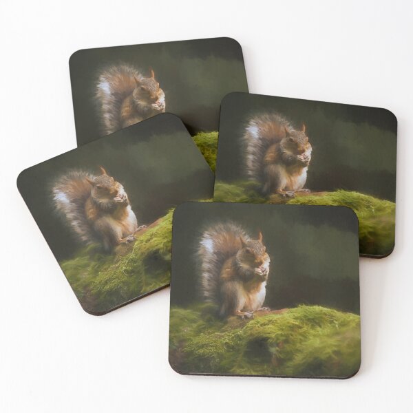Item preview, Grey Squirrel digital illustration sitting on a wall. designed and sold by RobThorley.