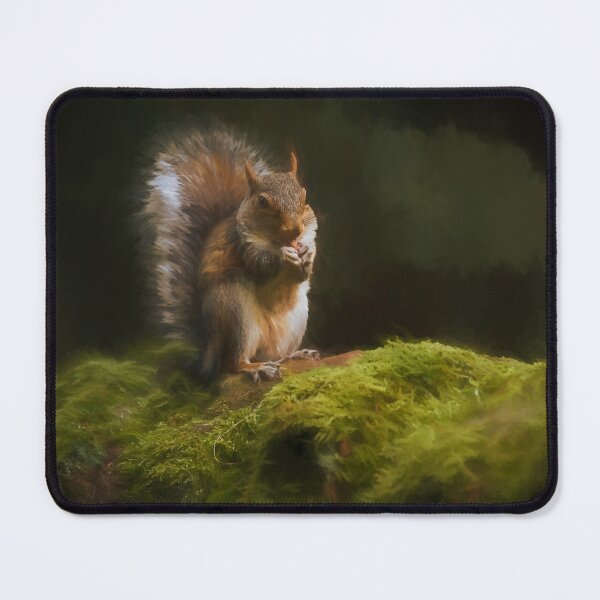 Item preview, Grey Squirrel digital illustration sitting on a wall. designed and sold by RobThorley.
