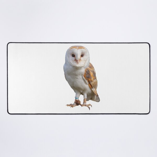 Item preview, English Barn Owl designed and sold by Dalyndigital Photography.