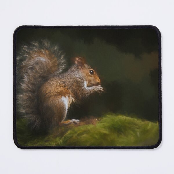 Item preview, Grey Squirrel digital illustration sitting on a wall. designed and sold by RobThorley.