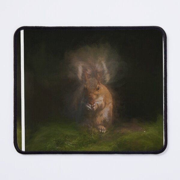 Item preview, Grey Squirrel digital triptych illustration. designed and sold by RobThorley.