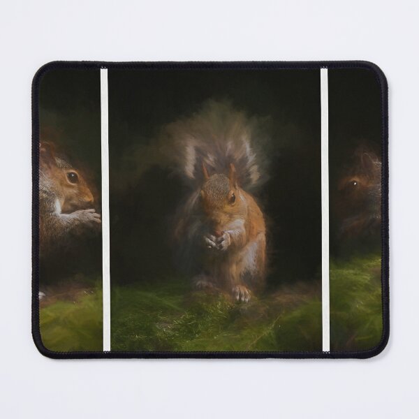 Item preview, Grey Squirrel digital triptych illustration. designed and sold by RobThorley.