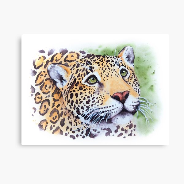 Jaguar Watercolor Canvas Print