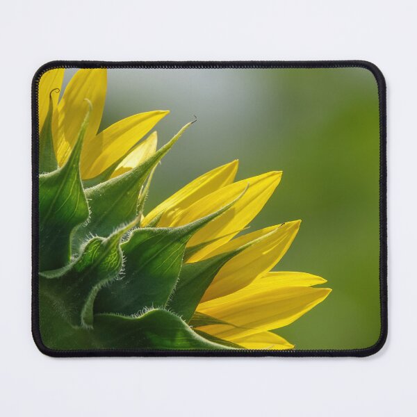 Item preview, The magical world of flowers and plants. designed and sold by fotoryum.