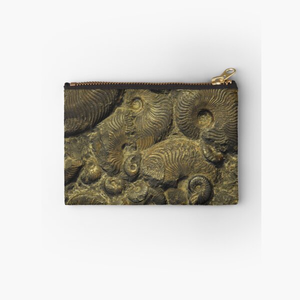 Item preview, Ammonites. Sedgwick Museum of Earth Sciences, Cambridge, UK designed and sold by Igor Pozdnyakov.