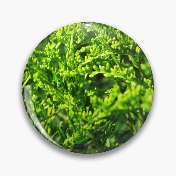 Item preview, Green grass aesthetic plants art photography | green grass summer meadow photography designed and sold by lausn.