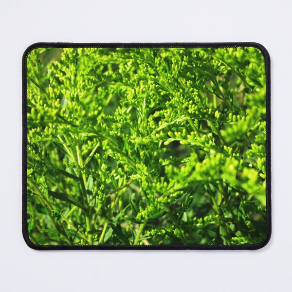 Item preview, Green grass aesthetic plants art photography | green grass summer meadow photography designed and sold by lausn.