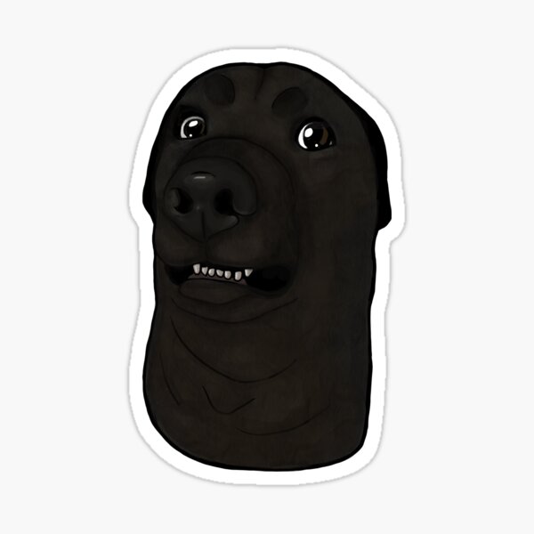 Item preview, Confused Dog designed and sold by curseten.