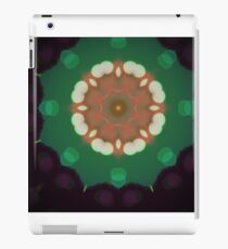 Retro iPad Case/Skin