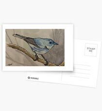 Cerulean Warbler - Watercolor Postcards