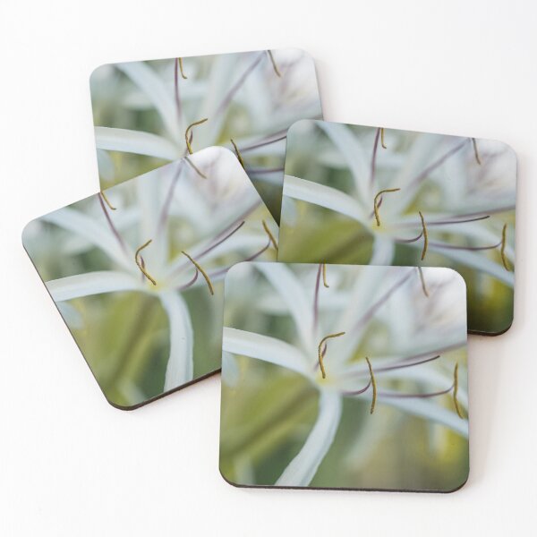 Item preview, crinum asiaticum designed and sold by KensLensDesigns.