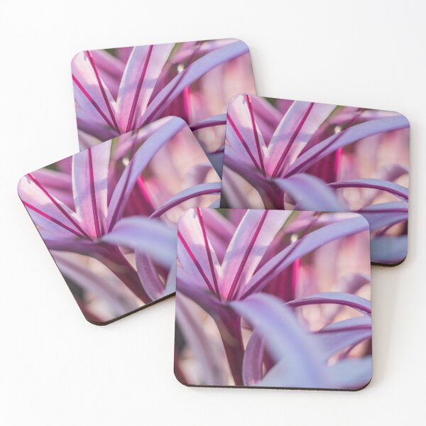 Item preview, crinum asiaticum 2 designed and sold by KensLensDesigns.