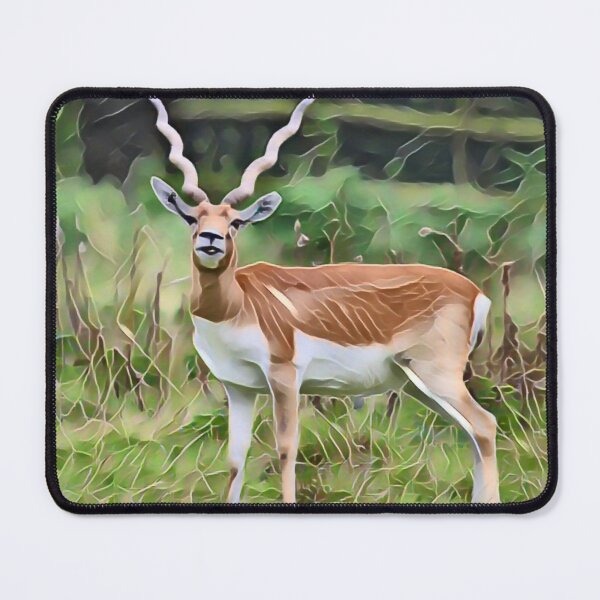 Item preview, Deer Stare In Gemstone designed and sold by Fearless-Fox.