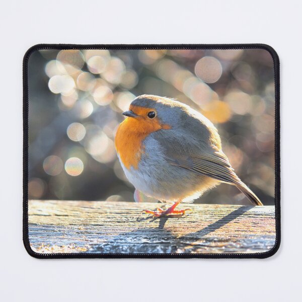 Item preview, English Robin Erithacus rubecula designed and sold by Dorset Girl.