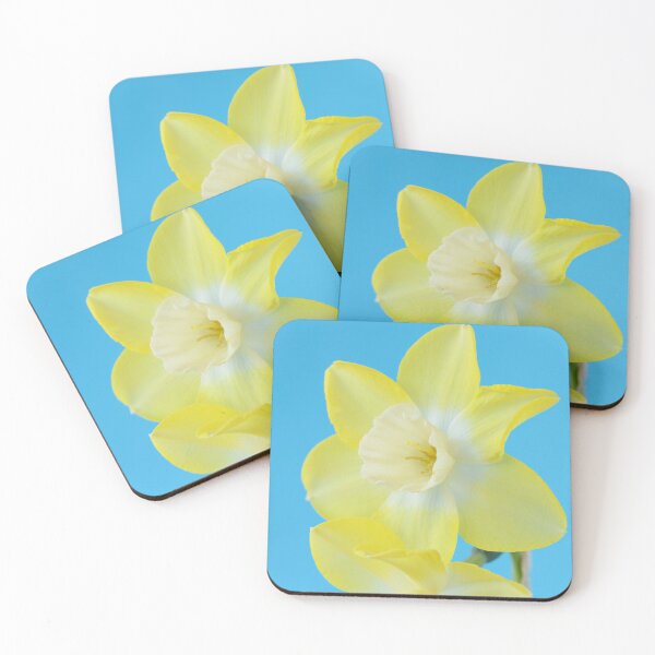 Item preview, Narcissus  'Pipit'    Division 7 Jonquilla  Daffodil designed and sold by Chris Burrows.