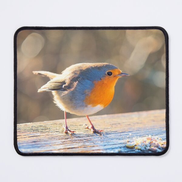 Item preview, English Robin Erithacus rubecula designed and sold by Dorset Girl.