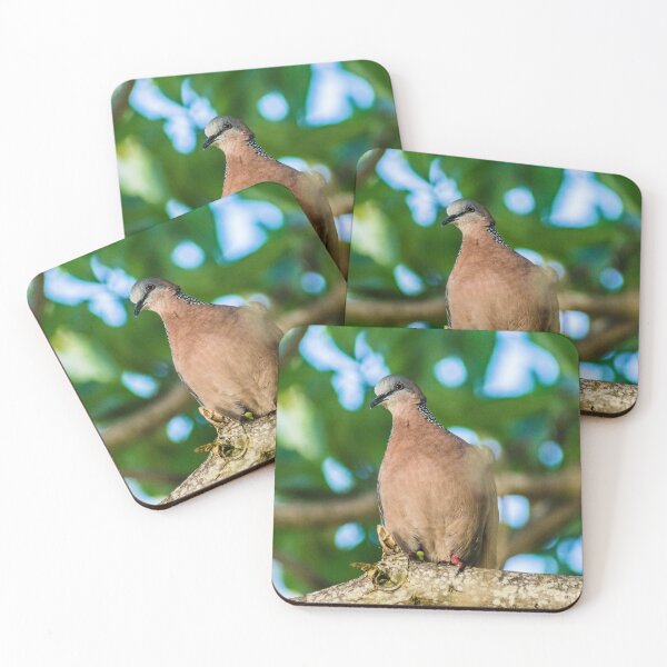 Item preview, Spotted Dove designed and sold by KensLensDesigns.