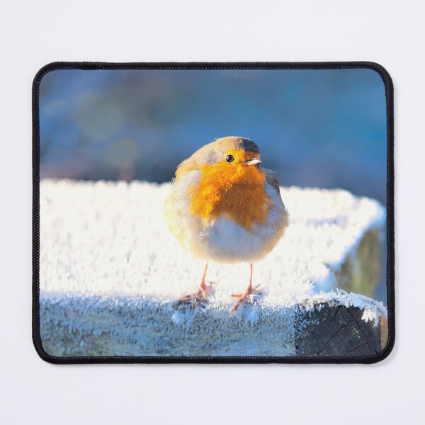 Item preview, English Robin Erithacus rubecula designed and sold by Dorset Girl.