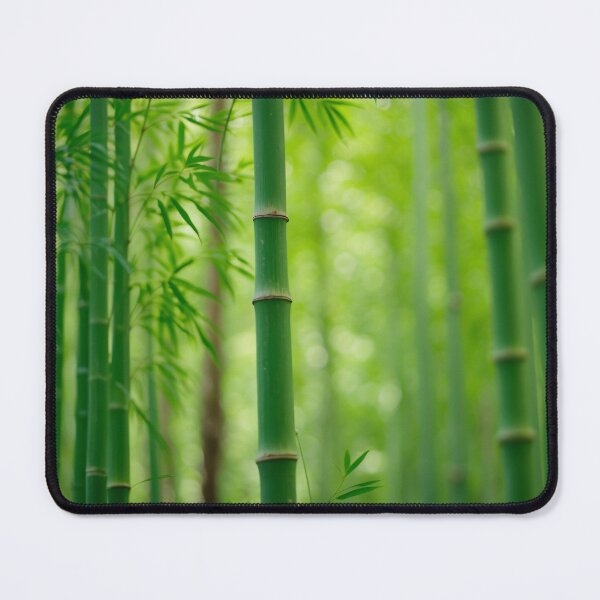 Item preview, Japanese bamboo gardening designed and sold by ZenStickConcept.