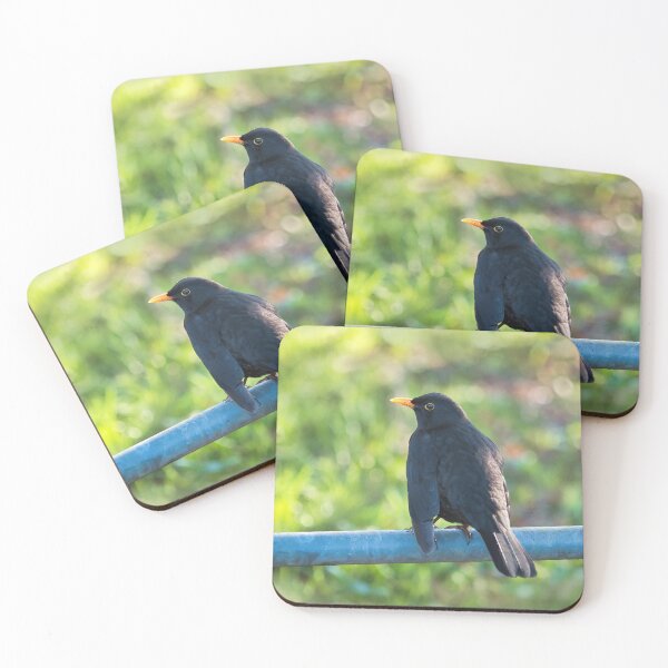 Item preview, Common Blackbird - Turdus Merula designed and sold by Dorset Girl.