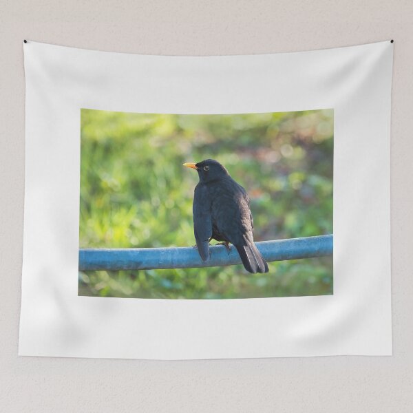 Item preview, Common Blackbird - Turdus Merula designed and sold by Dorset Girl.