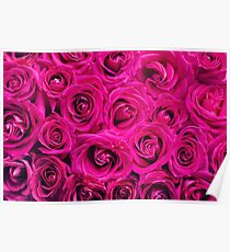 Elegant Floral Roses Poster