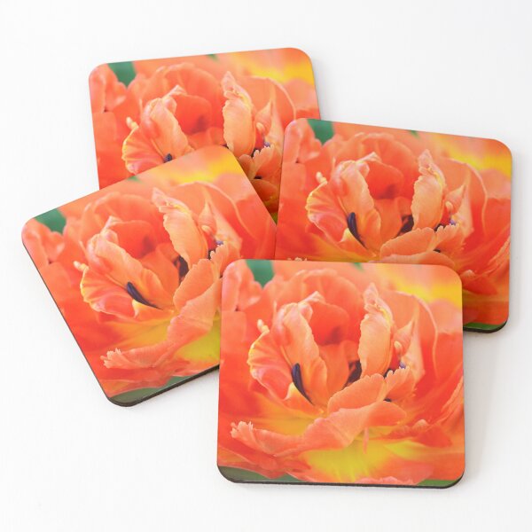 Item preview, Tulipa  'Monte Orange'  Tulip   designed and sold by Chris Burrows.