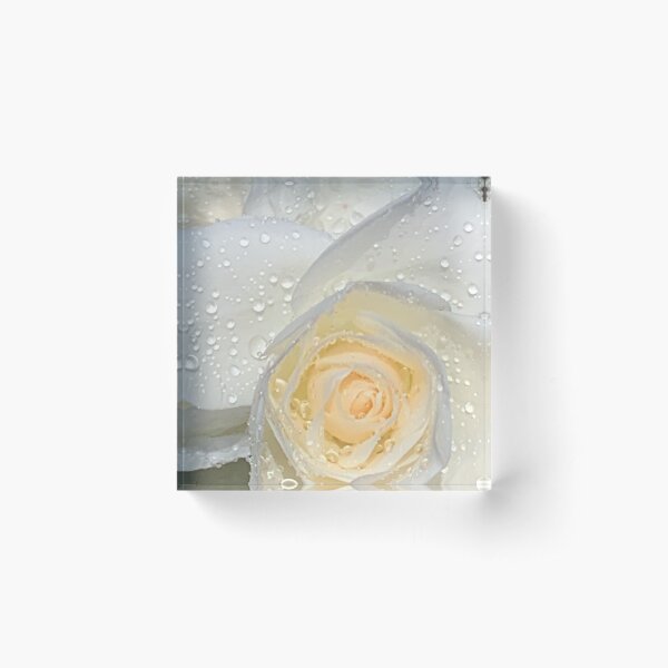 Item preview, white rose with drops of dew designed and sold by Darnell Williams.