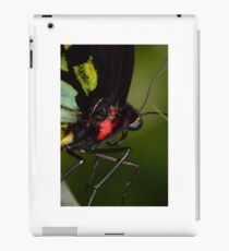 Openwing iPad Case/Skin