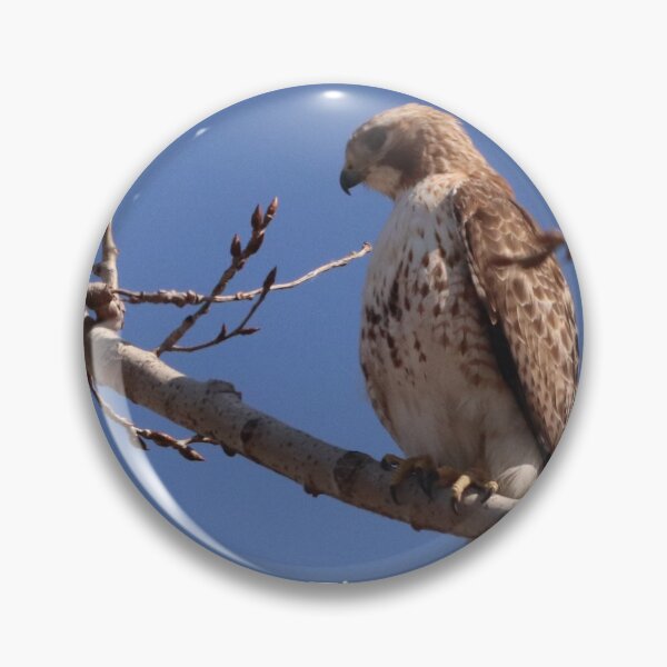 Item preview, HUNGRY HAWK designed and sold by Judy Geller.