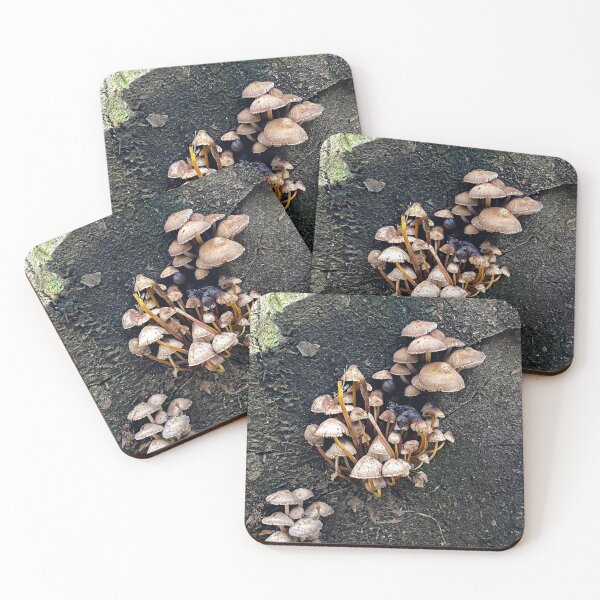 Item preview, Wild Mushrooms designed and sold by Paddyb17.