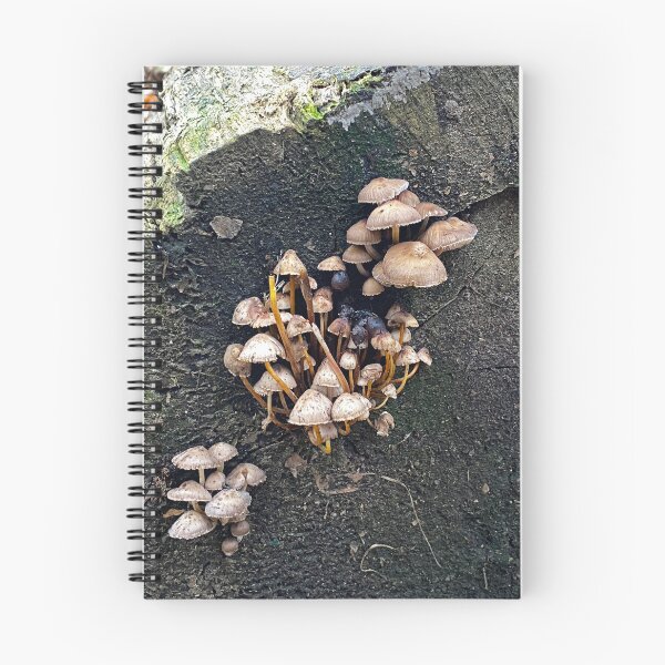 Item preview, Wild Mushrooms designed and sold by Paddyb17.
