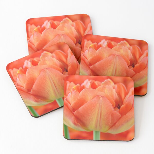 Item preview, Tulipa  'Monte Orange'  Tulip   designed and sold by Chris Burrows.