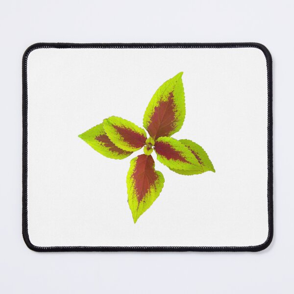 Item preview, coleus leaves designed and sold by Meo Design.