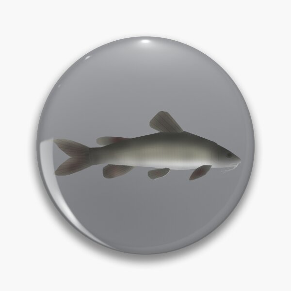 Item preview, Golden Nile Catfish designed and sold by fishfolkart.