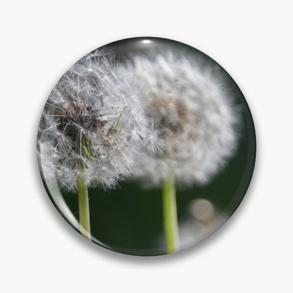 Item preview, Blowballs designed and sold by Calidris Fotografie Steffi & Ben Köppler.