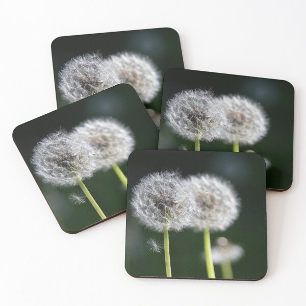 Item preview, Blowballs designed and sold by Calidris Fotografie Steffi & Ben Köppler.