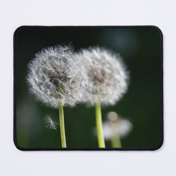 Item preview, Blowballs designed and sold by Calidris Fotografie Steffi & Ben Köppler.