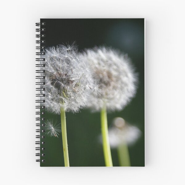 Item preview, Blowballs designed and sold by Calidris Fotografie Steffi & Ben Köppler.