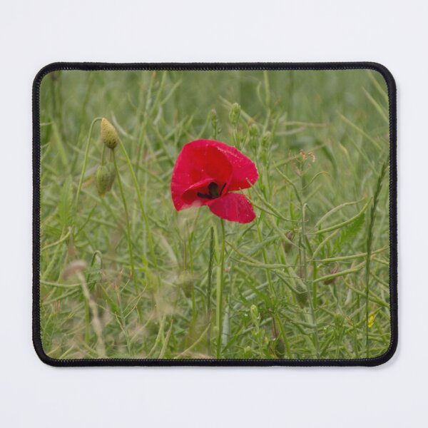 Item preview, Poppy designed and sold by Calidris Fotografie Steffi & Ben Köppler.