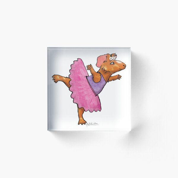 Ballerina Guinea Pig Acrylic Block