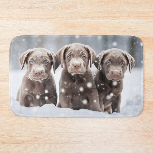 Item preview, Group of cute and adorable chocolate brown labrador retriever puppies in the snow photography  designed and sold by NBSStore.