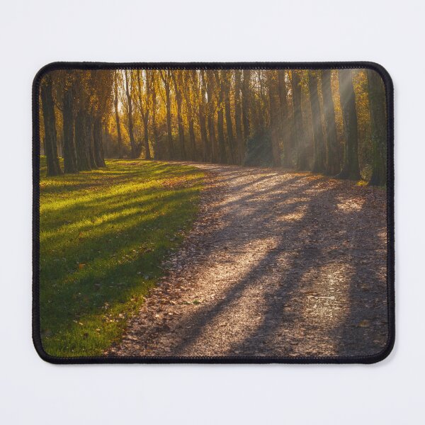 Item preview, Autumn Walk designed and sold by David Bowman.