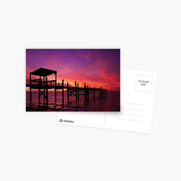 Purple Fire Sunset Postcard