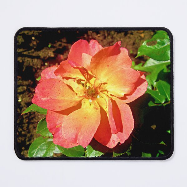 Item preview, Unusual orange rose designed and sold by Shulie1.